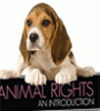 Featured image for Should All Animals Have Rights?