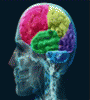 Featured image for 6 Brain Secrets To Be A Better Marketer