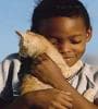 Featured image for Wonder Why Cats Purr?