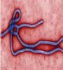 Featured image for World Still Unprepared After Ebola
