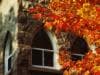 Featured image for NYU Hosts Successful Entrepreneurs Festival