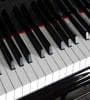 Featured image for Using Slime Mold To Play A Duet
