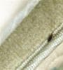 Featured image for Bedbugs: Invading a Home Near You