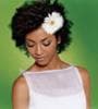Featured image for BlackBride.com Announces Relaunch