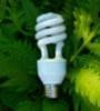 Featured image for Go Green and Save Money