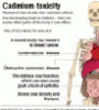 Featured image for New York Senator Calls for Cadmium Ban in Kids&#8217; Jewelry