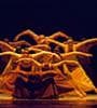 Featured image for Alvin Ailey American Dance Theater Makes Film Debut