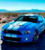 Image for 2010 Ford Shelby GT500