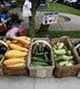 Featured image for GMO Labeling Debate Puts Food Industry on Defensive