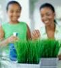 Featured image for Cultivating a Greener Home Environment