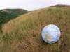 Featured image for Looking for Employment? A Thriving Green Job Market Awaits