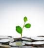 Featured image for Financial Planning for the Average Investor
