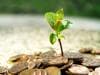 Featured image for Invest in Yourself for Terrific Returns