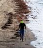 Featured image for Obama plans fourth tour of Gulf oil spill
