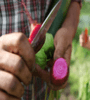 Featured image for These 10 food trends could dominate 2015