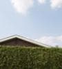 Featured image for Homebuyers May Encounter Obstacles in 2011