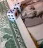 Image for Workers Increasingly Raid 401(k)s For Short-Term Cash