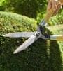 Image for Save on Yard Maintenance This Spring