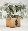 Image for Funding Forward: Consider a RevenueLoan For Your Business