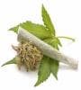 Featured image for Marijuana To Get 50% Tax Cut?