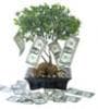 Featured image for A Spending Plan Can Prevent Financial Ruin
