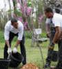 Featured image for ?Capital Culture: Obama Emphasizes Volunteerism