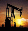 Featured image for Oil Company Goes Bankrupt
