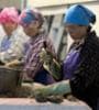 Featured image for Oil spill: La. oyster shuckers fear for livelihood
