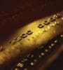 Featured image for The Rise of Prepaid Cards