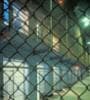 Featured image for NY ends prison-based gerrymandering