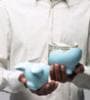 Featured image for High credit scores dwindle at top end