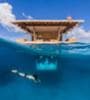 Image for Traveling to Tanzania? Opt for an Underwater Hotel Room
