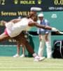 Featured image for Serena Williams, Nadal win Wimbledon openers