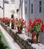 Featured image for Spring Gardening on the Cheap