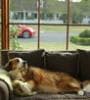 Image for Super Bowl Commercials: Cola, Cars and Clint