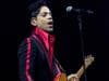 Image for Prince Invests in the Next Generation