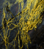 Featured image for Investing Themes From Tech &#038; Biology