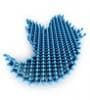 Featured image for Twitter Hashtags: Tips for Better Tweets