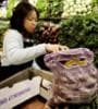 Featured image for Whole Foods to Require Labels on Genetically Modified Products