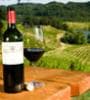 Image for Retiring Winemakers Find it Tough to Sell