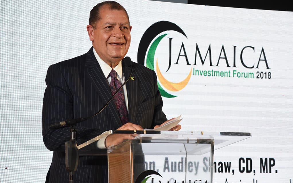 Featured image for Jamaica Looks to Boost the Agriculture Business as a Driver of Growth