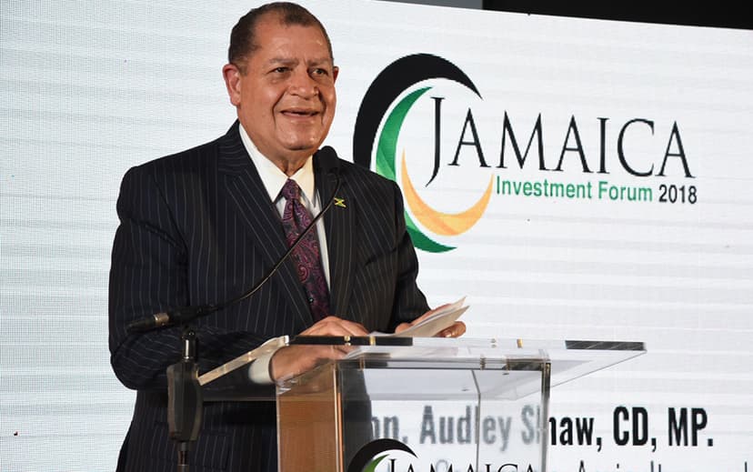 Image for Jamaica Looks to Boost the Agriculture Business as a Driver of Growth