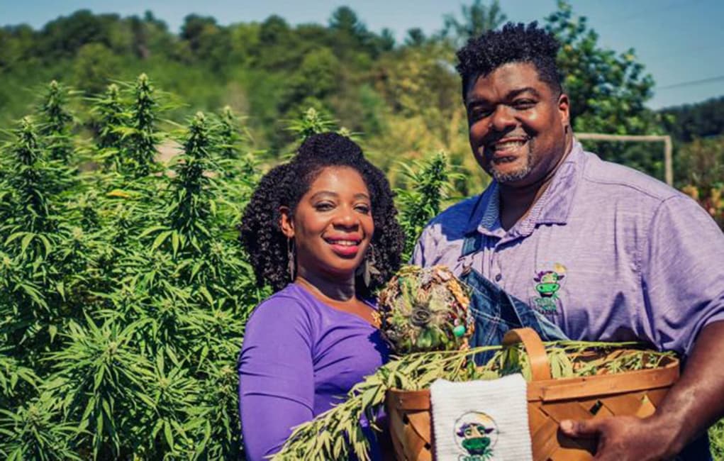 Featured image for Where Are the Black Hemp Farmers?