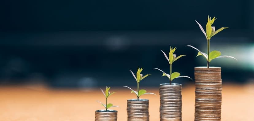 Coins stacked with plants on top