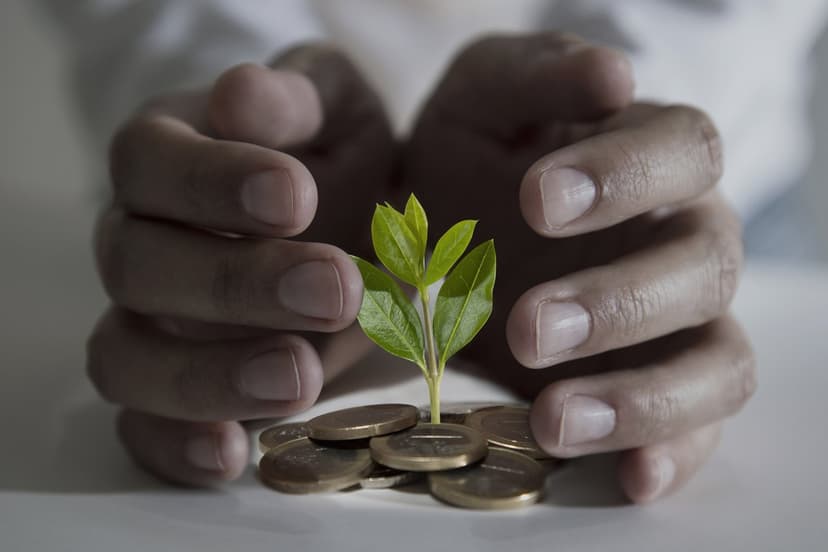 man with hands around a plant