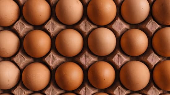 Featured image for FDA Recalls Costco Eggs | Health &amp; Safety Update