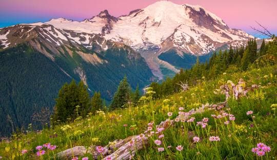 Featured image for 7 Best Weekend Getaways In Washington For Family