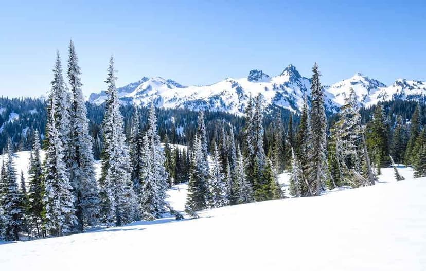 Winter Getaways in Seattle