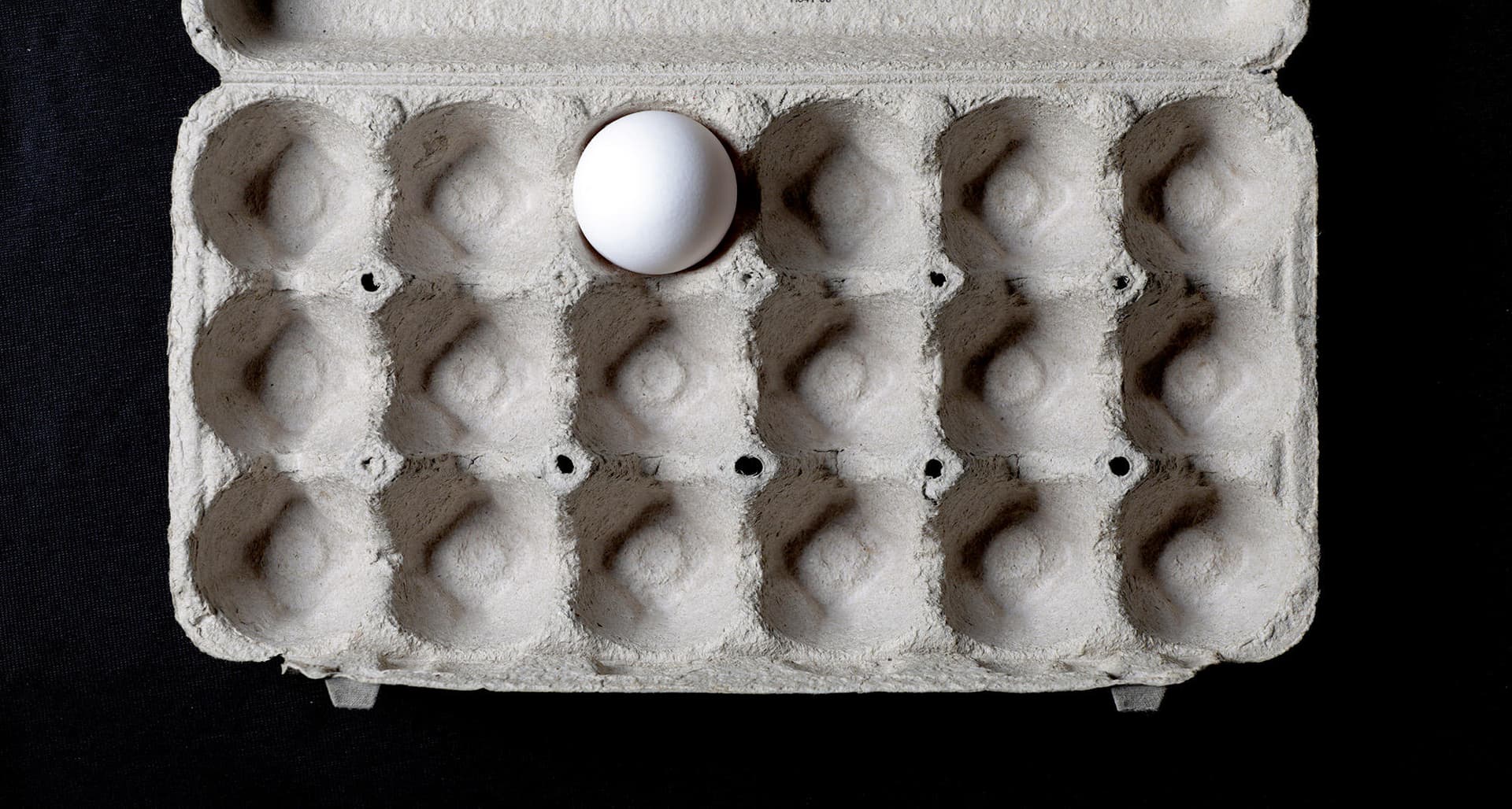 Featured image for Why Egg Prices Are So High? Egg Shortage in Washington
