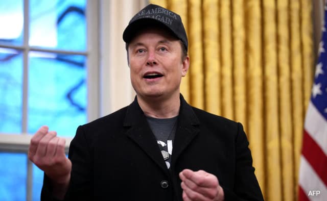 elon musk's platform X